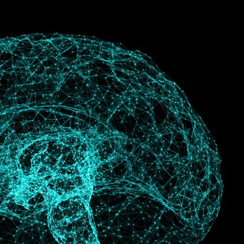 Digital data and network connection of human brain isolated on black background in the form of artificial intelligence for technology and medical concept. Motion graphic. 3d abstract illustration